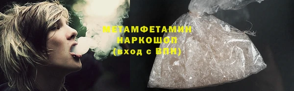 прущие грибы Балабаново