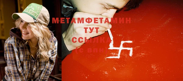 прущие грибы Балабаново