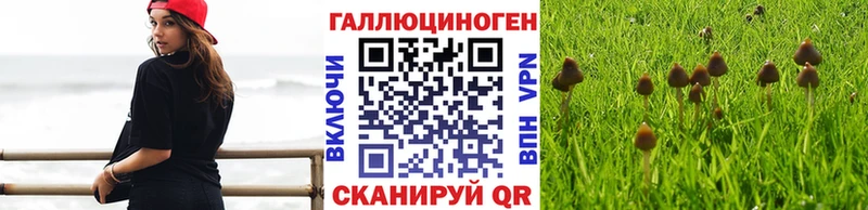 Купить закладки  Пыталово  Псилоцибиновые грибы Magic Shrooms 