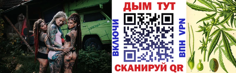 Купить  Пыталово  Канабис семена 